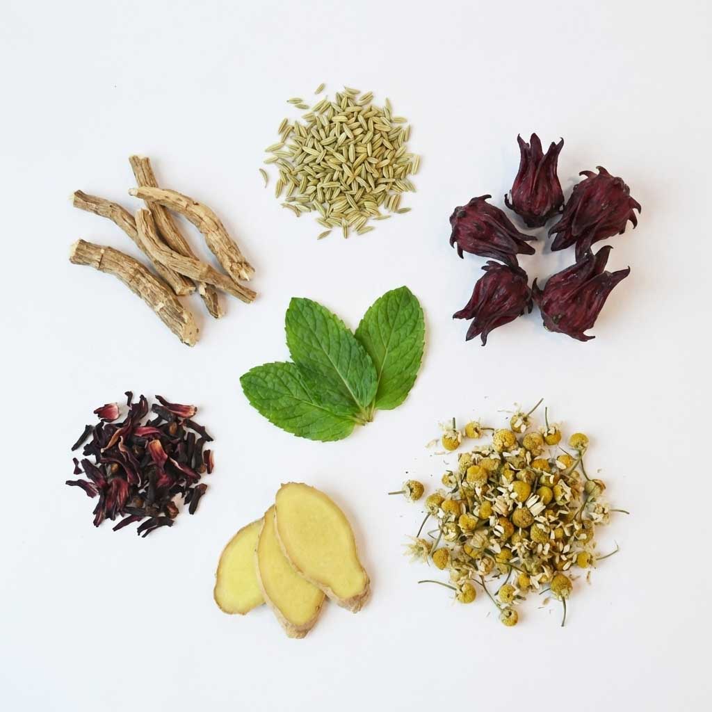 natural plant based ingredients including chamomile ginger mint and fennel used in botanical wellness drinks